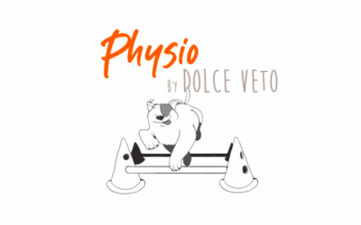 Rééducation fonctionnelle vétérinaire à Dolce Véto : son bien-être en mouvement