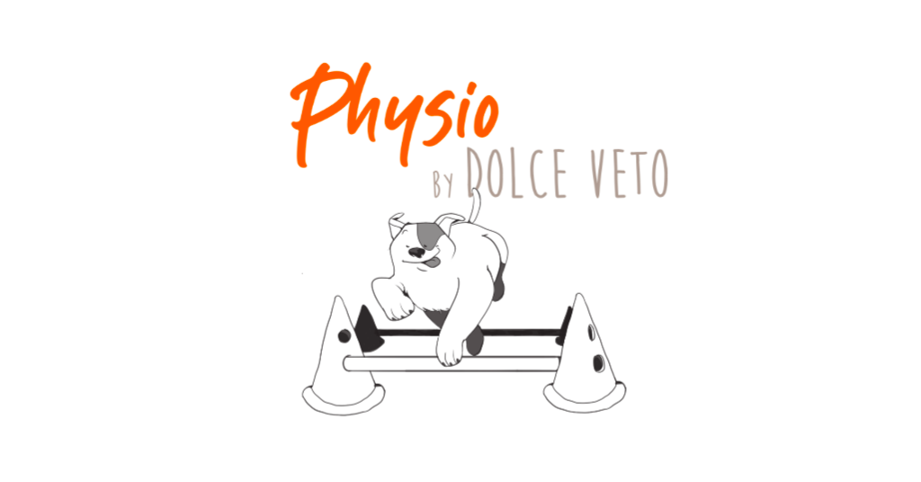 Rééducation fonctionnelle vétérinaire à Dolce Véto : son bien-être en mouvement